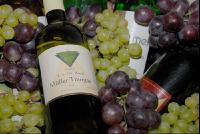 Wein_Weintrauben