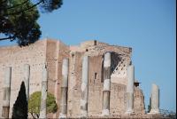 Forum_Romanum15