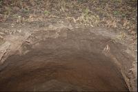 Loch_im_Feld1
