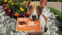 Schild_Hundekot2