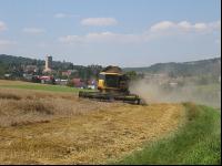 Weizendrusch3
