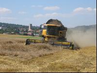Weizendrusch2