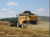 Weizendrusch1