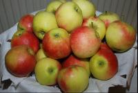 Äpfel2