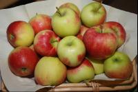 Äpfel1