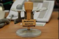 Heizkostenzuschuss
