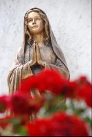 Madonna_Rosen