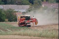Kartoffelroden_Grimme6