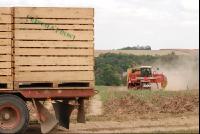 Kartoffelroden_Grimme5