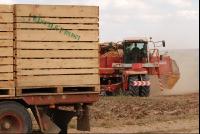 Kartoffelroden_Grimme4