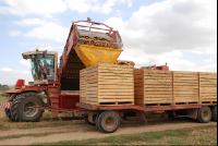 Kartoffelroden_Grimme3
