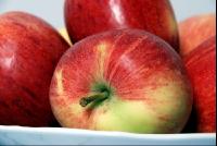 Apfel6