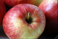 Apfel5