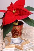 Weihnachtsstern1