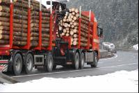 Holztransport_Straße