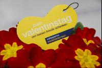 VP_Valentinstag5