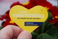VP_Valentinstag1