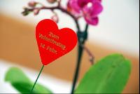 Schild_Valentinstag1