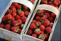 Erdbeeren2