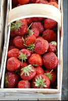 Erdbeeren1