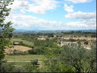 Assisi2