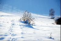 Winterlandschaft1