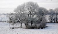 Winterlandschaft