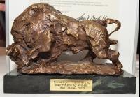 Projektpreis MR-Bulle