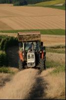 Traktor Feldweg
