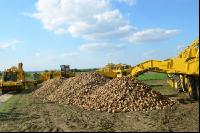Rübenernte_Bodenablage2