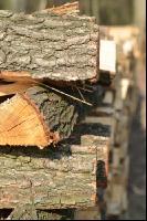 Holzscheiter5