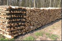 Holzscheiter4