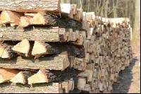 Holzscheiter3