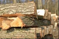 Holzscheiter2