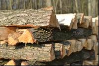 Holzscheiter1