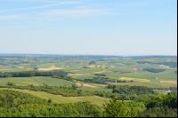 Blick vom Buschberg