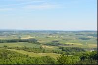 Blick vom Buschberg