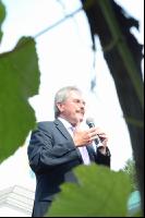 Karl Wilfing