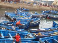 Fischerboote2