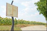 Gaubitscher_Bibelweg5