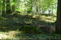 Wald3