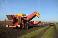 Grimme_Varitron8