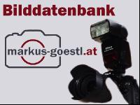 Bilddatenbank Neu