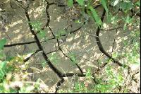 Trockenheit Boden Risse