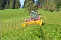 Mähtraktor beim Wiesenmähen