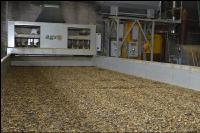 Kürbiskraft Weinviertel