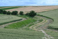 Weinviertel Landschaft