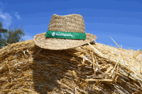 Hut Maschinenring Rundballen