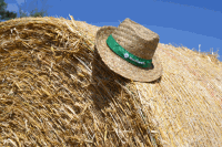 Hut Maschinenring Rundballen