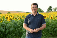 Markus Göstl Sonnenblumen
